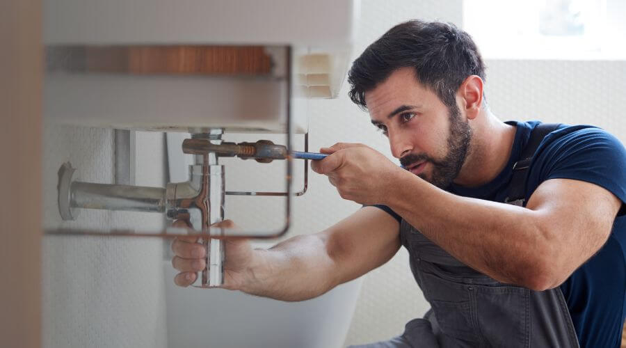 Trap Repair/Replacement in Olympia, WA